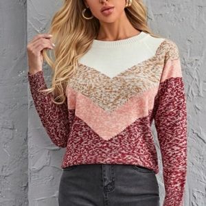 Raglan sleeve color block sweater